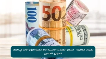تغيرات مفاجئة.. أسعار العملات الأجنبية أمام الجنيه اليوم الأحد في البنك المركزي المصري
